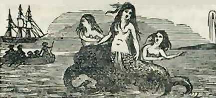 Mermaid woodcut